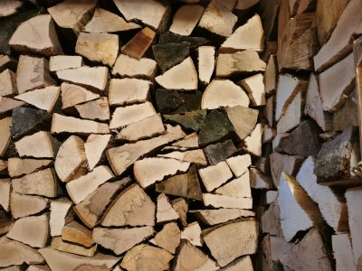 holz20211020