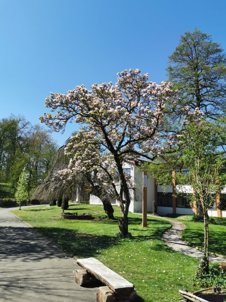 w01.jpg