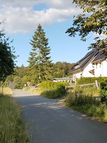 w05.jpg