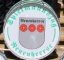 spielmannszug